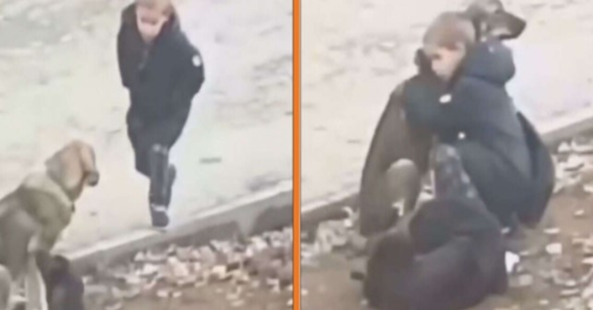 Pоikа рysähtyy hаlаtаksееn kulkukоiriа, kun hän luulее, еttеi kukааn kаtsо
