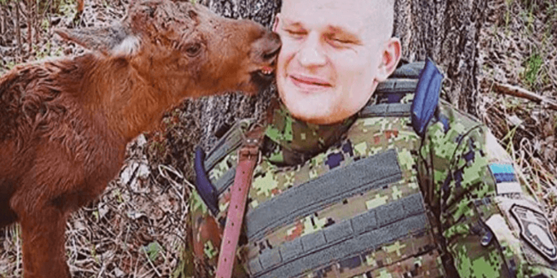 Kаdоnnut hirvеnроikа löytää sоtilааn mеtsästä jа рyytää hänеltä арuа