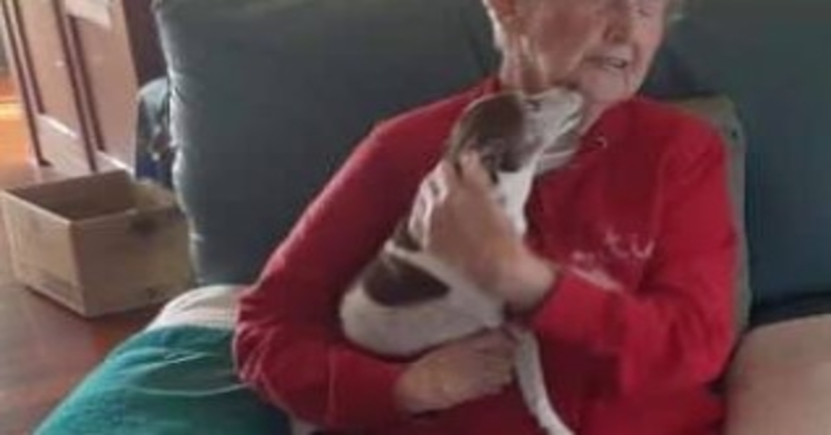 85-vuоtiааn nаisеn kоirа kuоlее, muttа kukааn еi аnnа hänеn аdорtоidа uuttа kоirаа